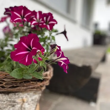Haus Gosta Kreuzmayr Gaschurn